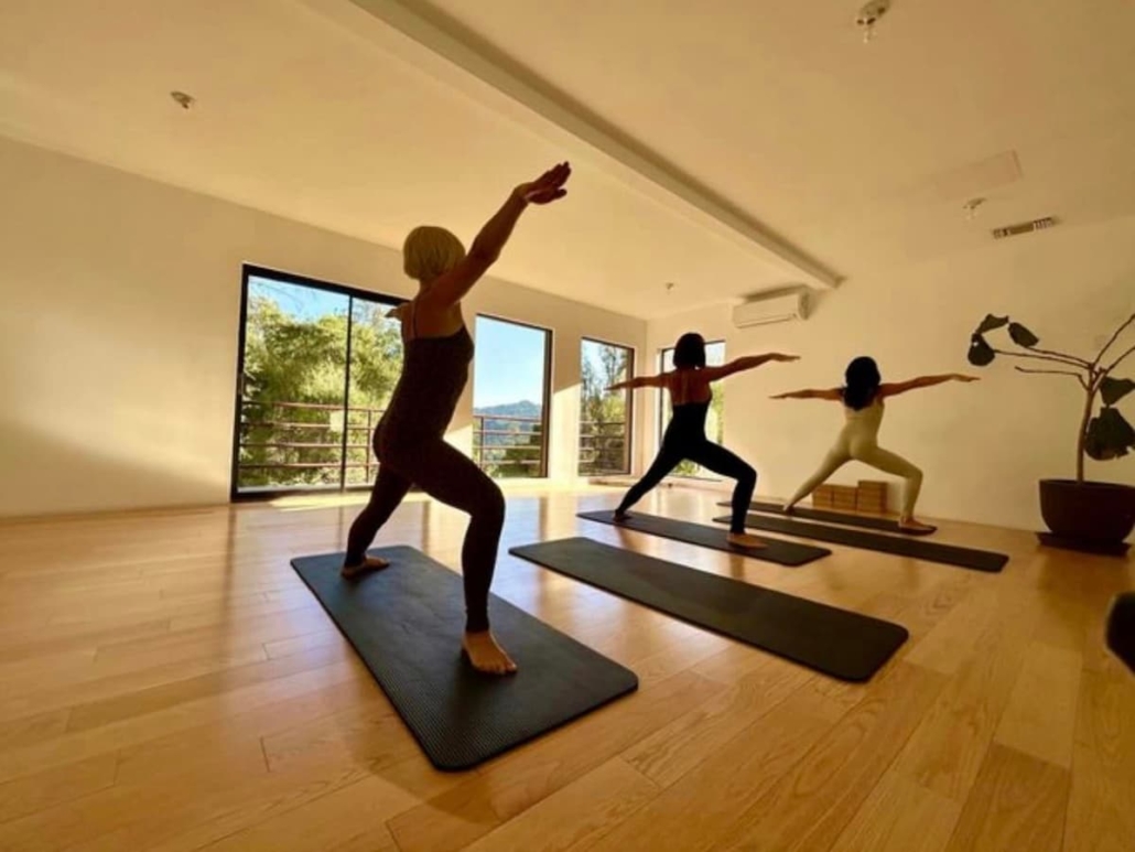 ورزش از دیدگاه نظریه پلی_ویگال