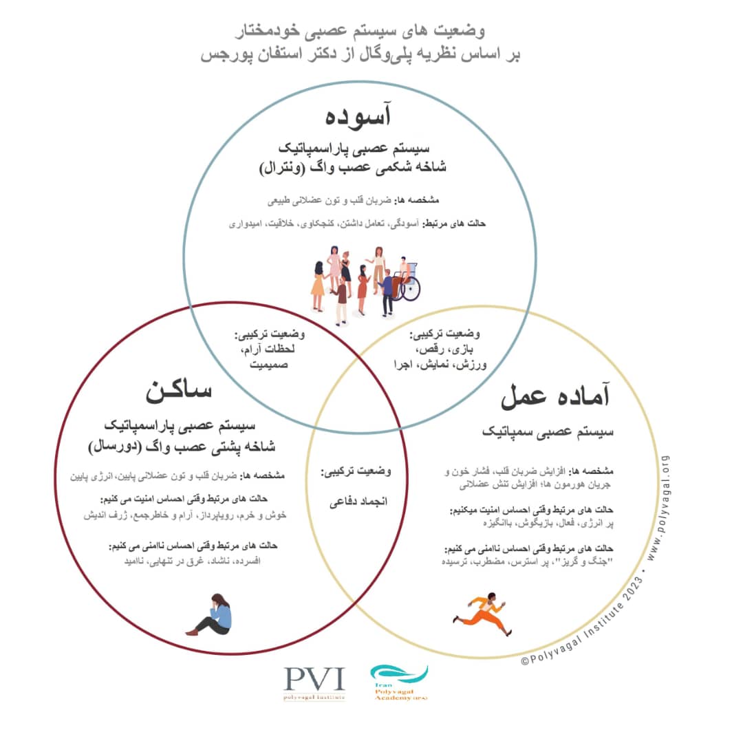 سیستم عصبی خود مختار