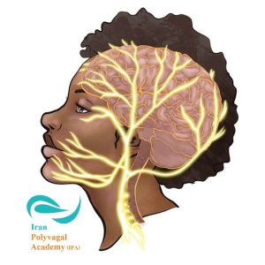 عصب واگ در مغز